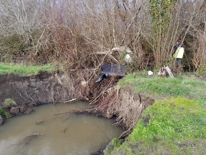 Jacoby Creek Bank Washout, Isolation with AquaDams