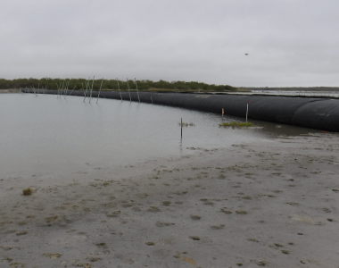 lagoon-crossing-sarita-texas